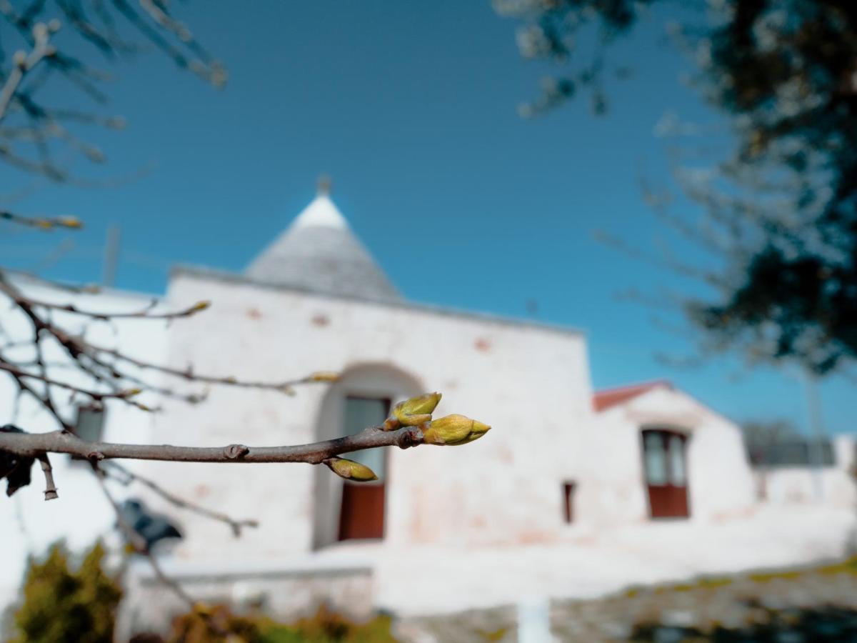 Rifugio Di Puglia - Trulli & Dimore Alberobello Kültér fotó